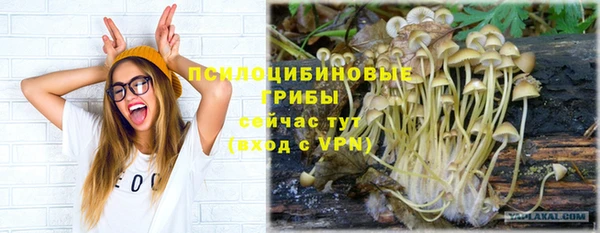 mdpv Абдулино